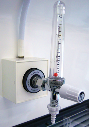 Oxygen_piping_rotameter_rt.png